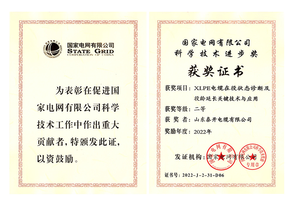 國網科技進步獎（XLPE電纜在役狀態(tài)診斷及役齡延長關鍵技術與應用）