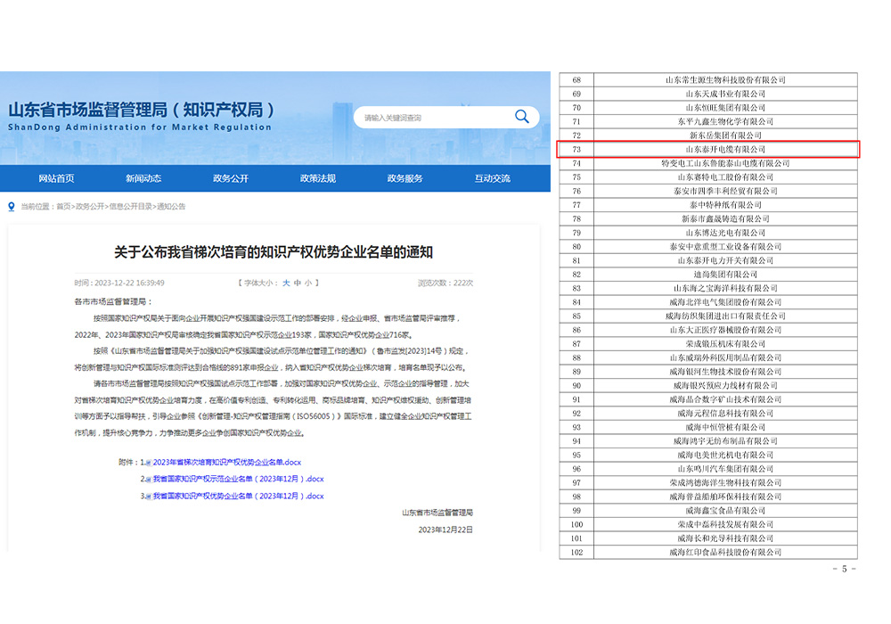 山東省梯次培育知識產權優(yōu)勢企業(yè)