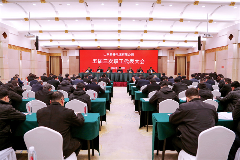 守正創新，實干篤行｜泰開電纜五屆三次職工代表大會勝利召開！