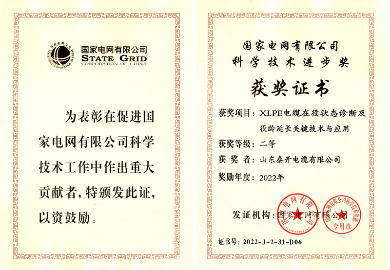 科學技術進步二等獎（XLPE電纜在役狀態(tài)診斷及役齡延長關鍵技術與應用）