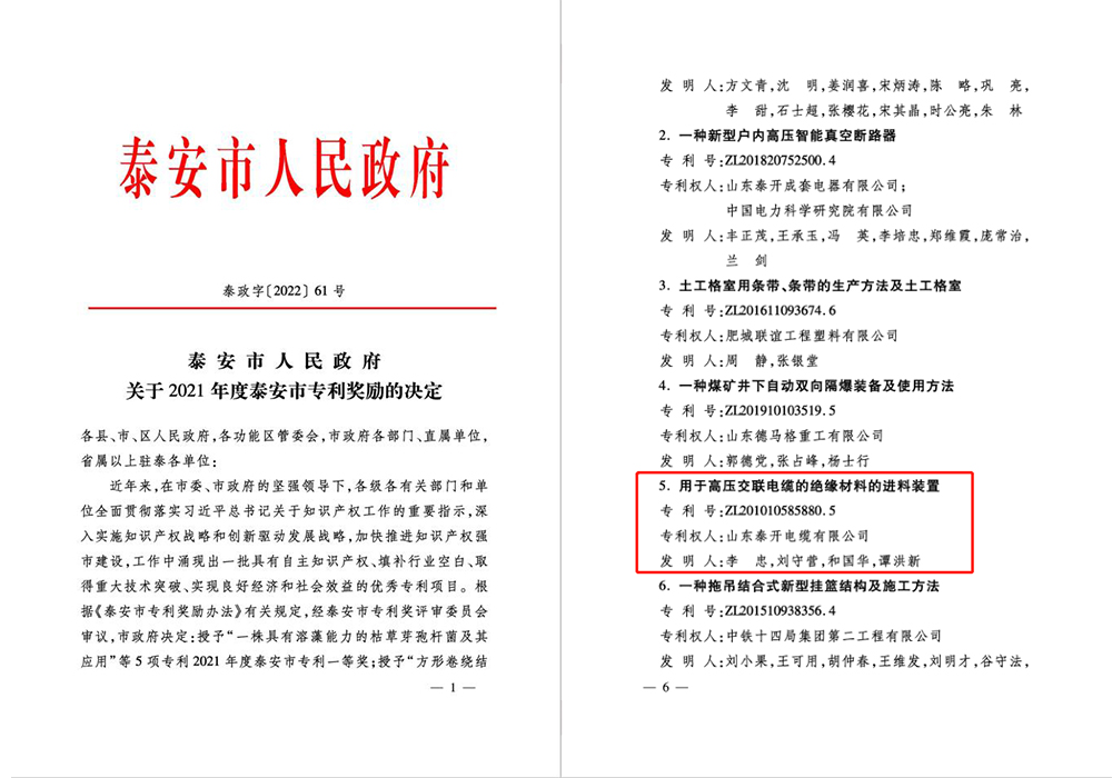 2021年泰安市專利三等獎