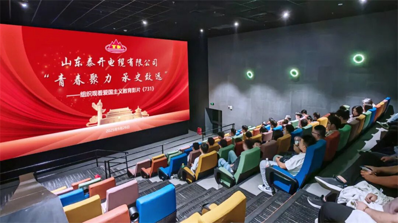 泰開電纜組織開展“青春聚力、承史致遠”團建活動